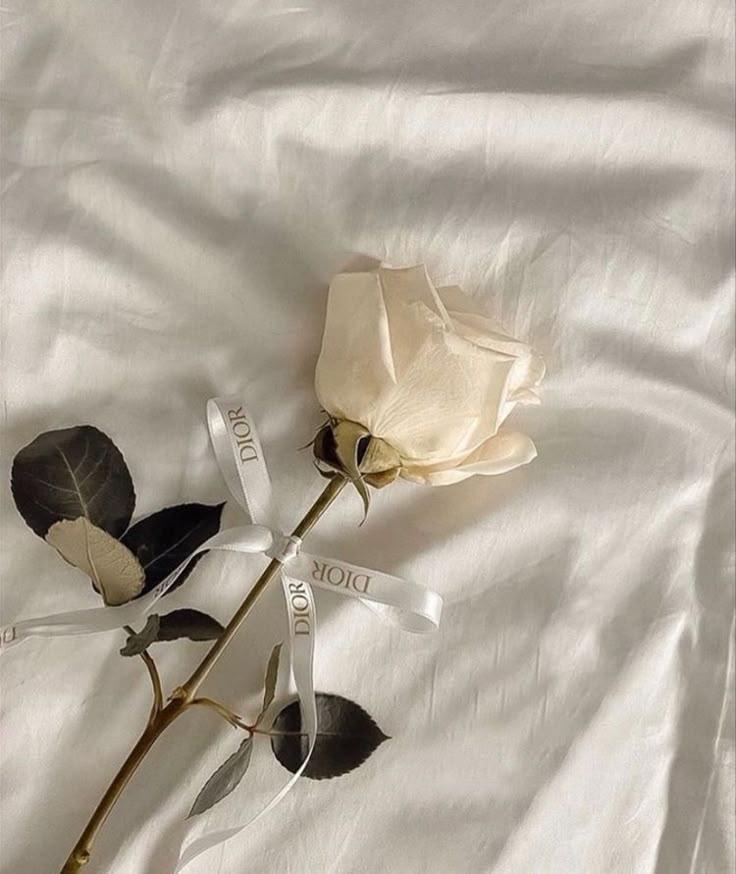 Eternal Embrace of Pastel Petals